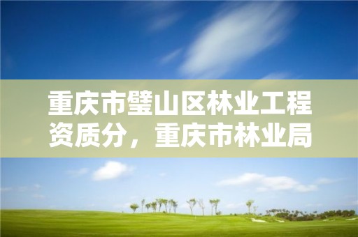 重庆市璧山区林业工程资质分，重庆市林业局项目