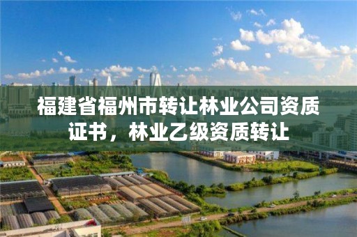 福建省福州市转让林业公司资质证书，林业乙级资质转让