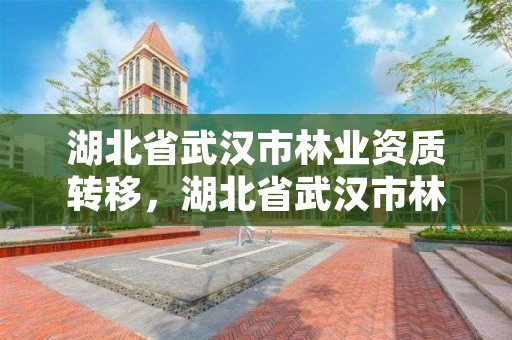 湖北省武汉市林业资质转移，湖北省武汉市林业局