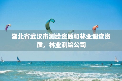 湖北省武汉市测绘资质和林业调查资质，林业测绘公司