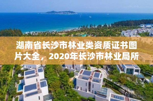 湖南省长沙市林业类资质证书图片大全，2020年长沙市林业局所属事业单位招聘公告