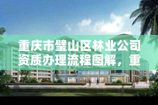 重庆市璧山区林业公司资质办理流程图解，重庆市林业开发有限公司