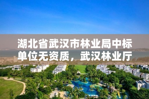 湖北省武汉市林业局中标单位无资质，武汉林业厅