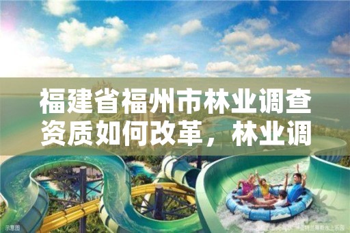 福建省福州市林业调查资质如何改革，林业调查协会