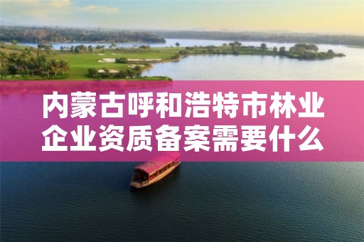 内蒙古呼和浩特市林业企业资质备案需要什么，林业公司资质有哪几个