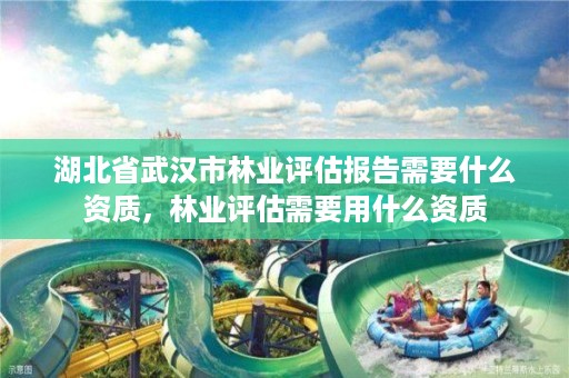 湖北省武汉市林业评估报告需要什么资质，林业评估需要用什么资质