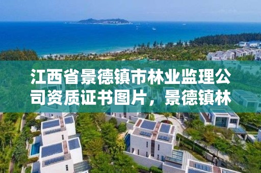 江西省景德镇市林业监理公司资质证书图片，景德镇林业局局长是谁