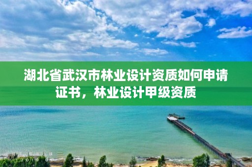 湖北省武汉市林业设计资质如何申请证书，林业设计甲级资质