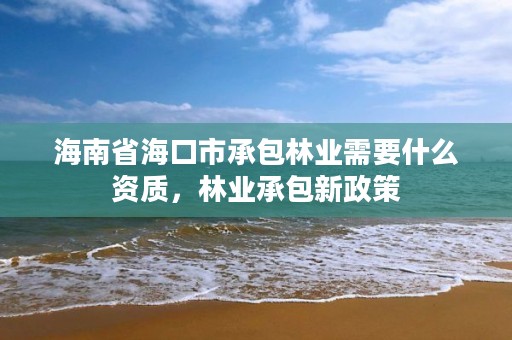 海南省海口市承包林业需要什么资质，林业承包新政策