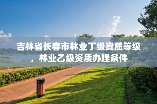 吉林省长春市林业丁级资质等级，林业乙级资质办理条件