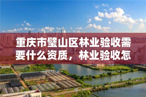 重庆市璧山区林业验收需要什么资质，林业验收怎么验收的