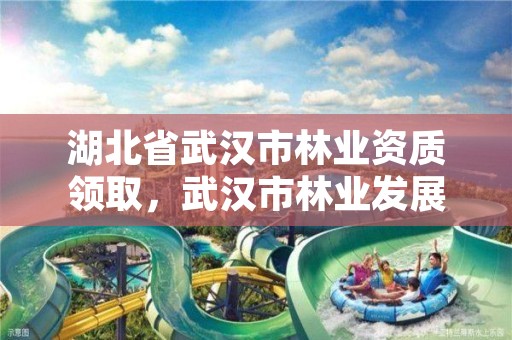 湖北省武汉市林业资质领取，武汉市林业发展有限责任公司