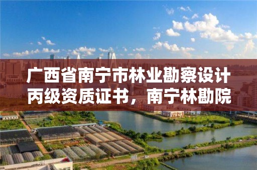 广西省南宁市林业勘察设计丙级资质证书，南宁林勘院