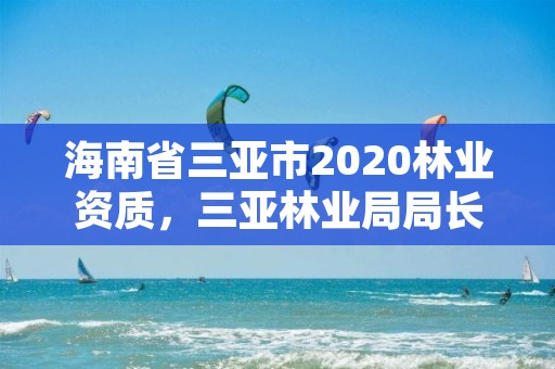 海南省三亚市2020林业资质，三亚林业局局长是谁