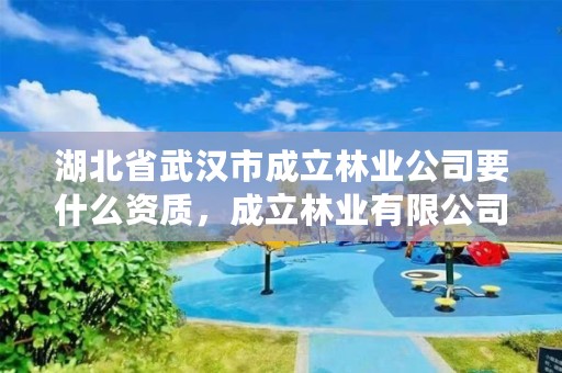 湖北省武汉市成立林业公司要什么资质，成立林业有限公司怎样取名称