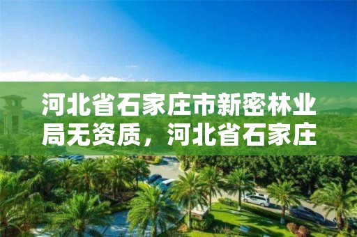 河北省石家庄市新密林业局无资质，河北省石家庄市新密林业局无资质公司