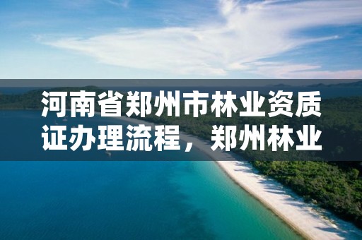 河南省郑州市林业资质证办理流程，郑州林业局官方网站