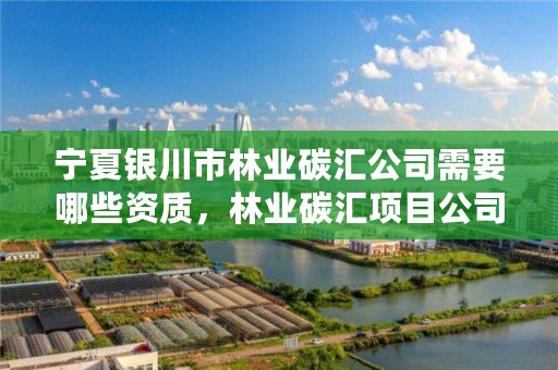 宁夏银川市林业碳汇公司需要哪些资质，林业碳汇项目公司