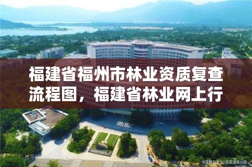 福建省福州市林业资质复查流程图，福建省林业网上行政审批