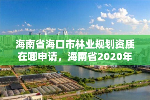 海南省海口市林业规划资质在哪申请，海南省2020年林业改革发展资金用途