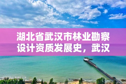 湖北省武汉市林业勘察设计资质发展史，武汉市林业调查规划设计院有限公司