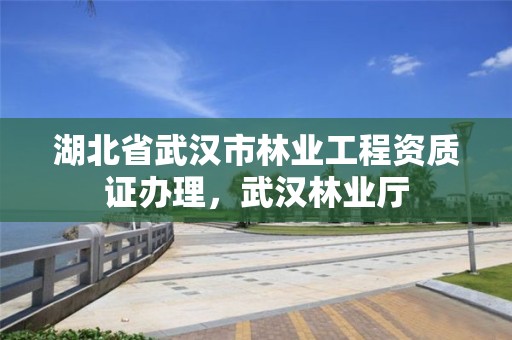 湖北省武汉市林业工程资质证办理，武汉林业厅