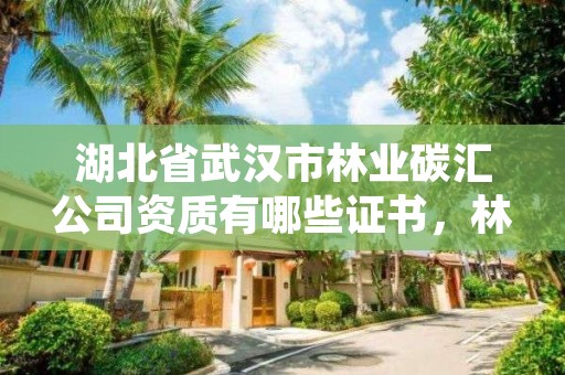 湖北省武汉市林业碳汇公司资质有哪些证书，林业碳汇资源项目开发的公司