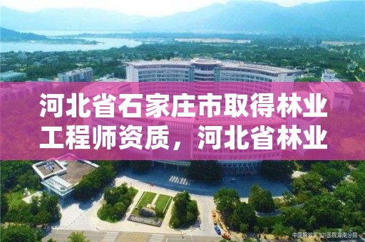 河北省石家庄市取得林业工程师资质，河北省林业工程师申报条件