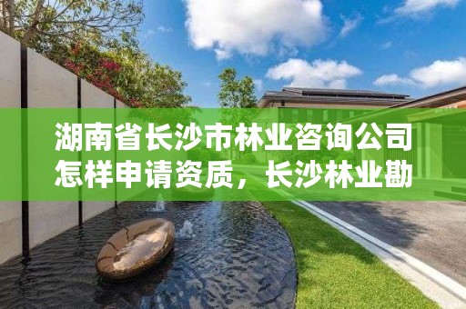 湖南省长沙市林业咨询公司怎样申请资质，长沙林业勘测设计院