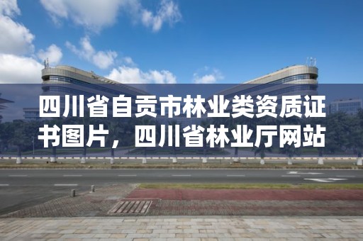 四川省自贡市林业类资质证书图片，四川省林业厅网站