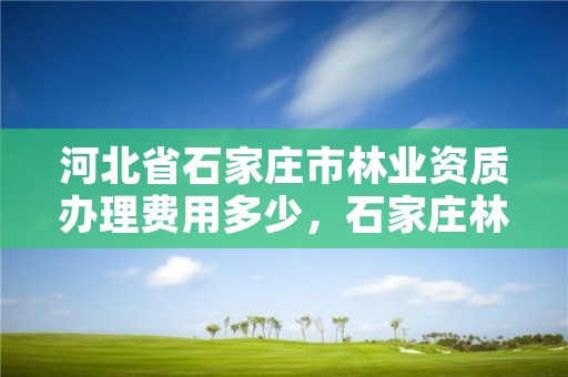 河北省石家庄市林业资质办理费用多少，石家庄林业局招标公告