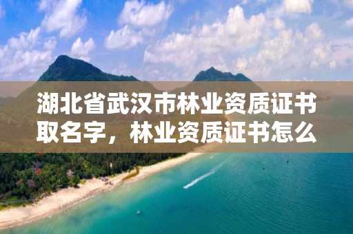 湖北省武汉市林业资质证书取名字，林业资质证书怎么办理?