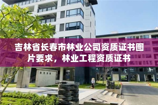 吉林省长春市林业公司资质证书图片要求，林业工程资质证书