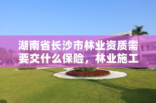 湖南省长沙市林业资质需要交什么保险，林业施工资质