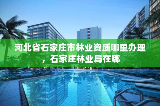 河北省石家庄市林业资质哪里办理，石家庄林业局在哪