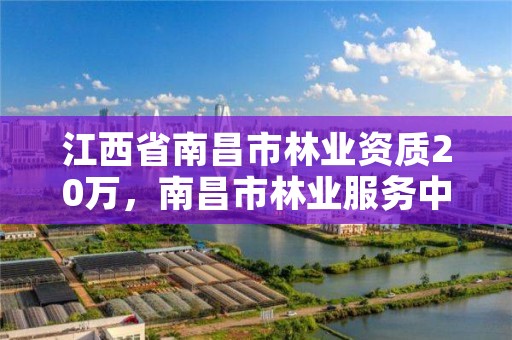 江西省南昌市林业资质20万，南昌市林业服务中心