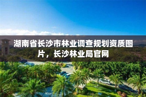 湖南省长沙市林业调查规划资质图片，长沙林业局官网