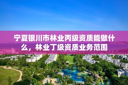 宁夏银川市林业丙级资质能做什么，林业丁级资质业务范围