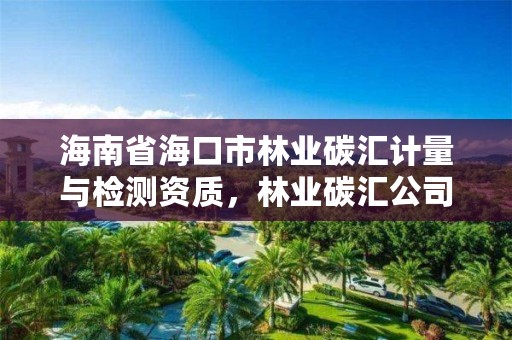 海南省海口市林业碳汇计量与检测资质，林业碳汇公司有哪几家