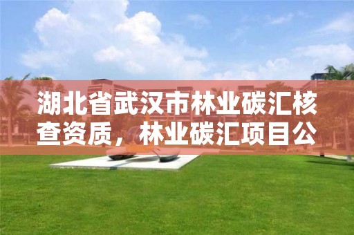 湖北省武汉市林业碳汇核查资质，林业碳汇项目公司