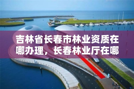 吉林省长春市林业资质在哪办理，长春林业厅在哪里