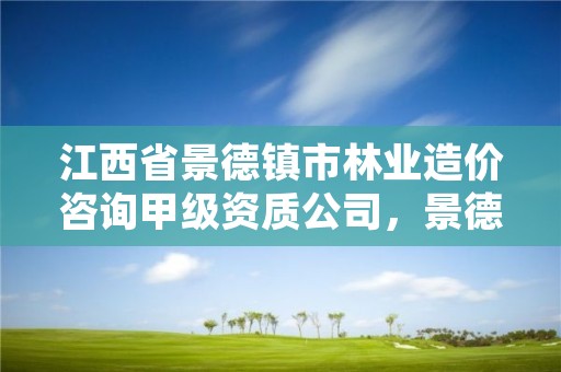 江西省景德镇市林业造价咨询甲级资质公司，景德镇林业产业发展管理局