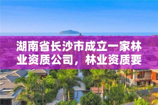 湖南省长沙市成立一家林业资质公司，林业资质要求