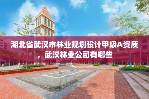 湖北省武汉市林业规划设计甲级A资质，武汉林业公司有哪些