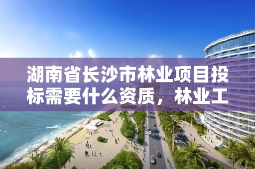 湖南省长沙市林业项目投标需要什么资质，林业工程招投标