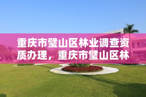 重庆市璧山区林业调查资质办理，重庆市璧山区林业调查资质办理中心