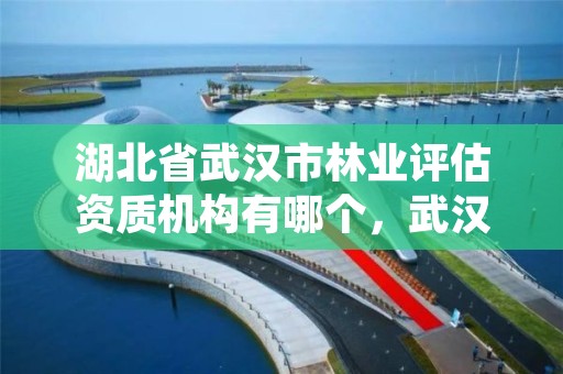 湖北省武汉市林业评估资质机构有哪个，武汉市林业集团有限公司