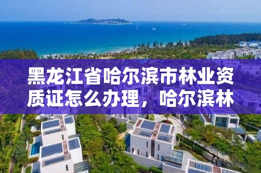 黑龙江省哈尔滨市林业资质证怎么办理，哈尔滨林业厅地址