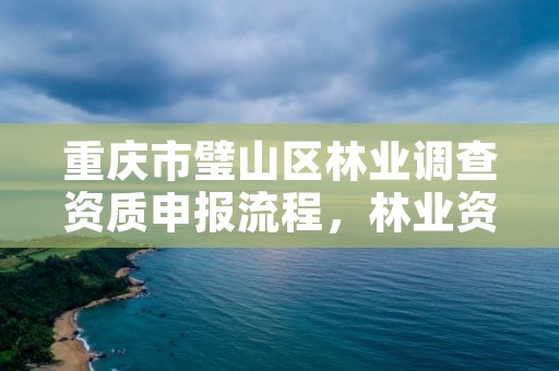 重庆市璧山区林业调查资质申报流程，林业资质 重庆