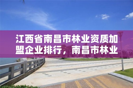 江西省南昌市林业资质加盟企业排行，南昌市林业投资发展有限公司